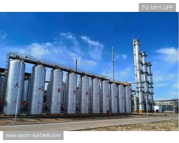 探索凯发集团旗下公司在不同领域的业务布局与市场表现