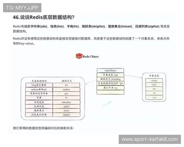 奇博体育用户指南：注册流程、账户安全与常见问题解决方案